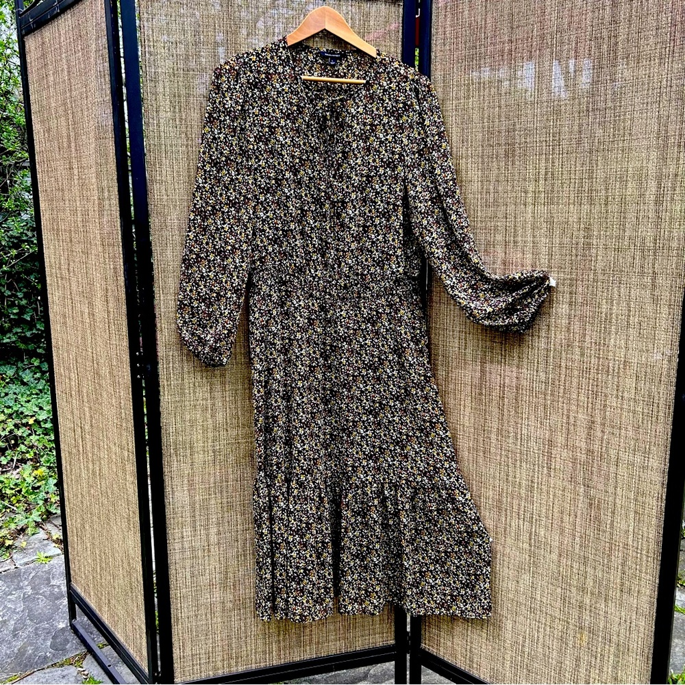 Prairie Chic Banana Republic Sheer Dress